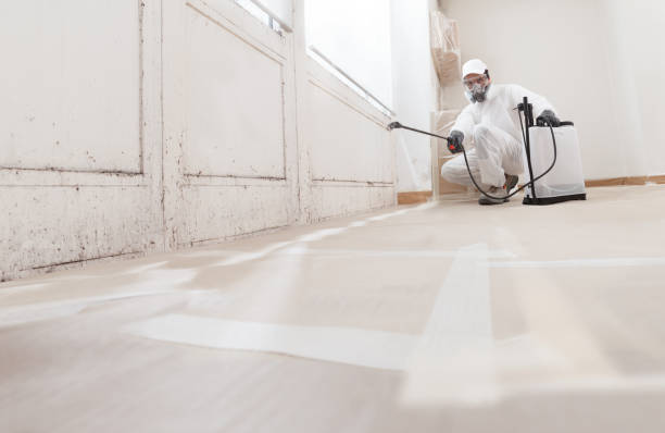 24/7 Emergency Crawl Space Mold Removal experts in Winterville, GA